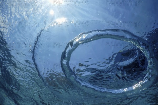 Underwater Bubble Ring Ascends towards the Sun