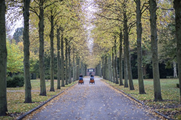 Copenhagen, Denmark, October 27, 2022: People in a tree alley on Vestre Cemetery during autumn, Europe