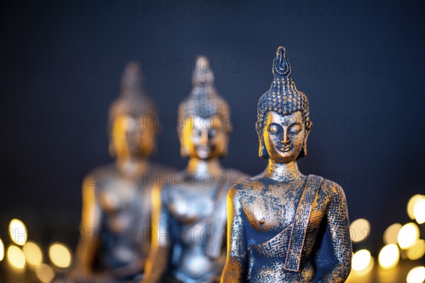 Netherlands. October 2022.buddha statue in calm rest pose. Shakyamuni Buddha is a spiritual teacher, one of the three world religions