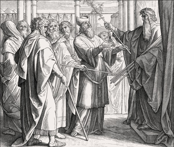 The Blossoming of Aaron's Rod, Old Testament, by Julius Schnorr von Carolsfeld, 1860