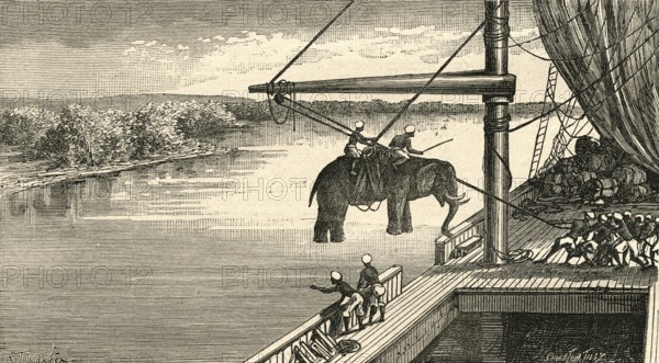 Transportation of elephants from India to Africa