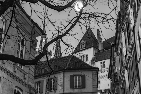 Tree Branch and Street in Old Town with House and Cathedral Tower in Sunset in City of Neuchatel, Canton Neuchatel, Switzerland, Europe