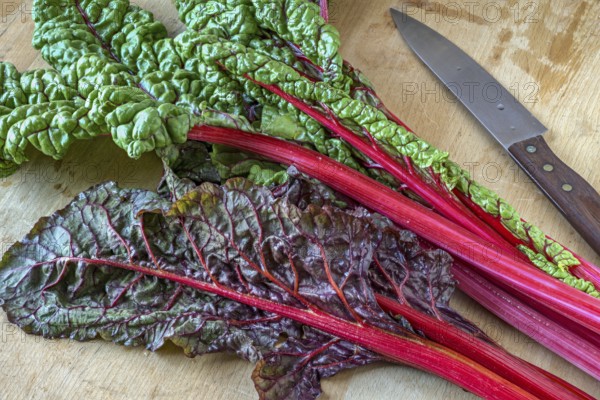 Red-stemmed chard on a beechwood board