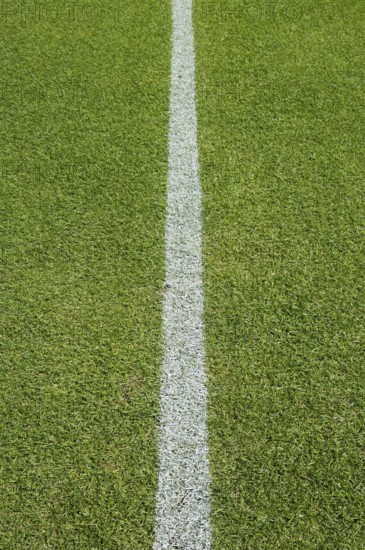 White line on the grass at soccer playing field in Lubin, Poland, Europe