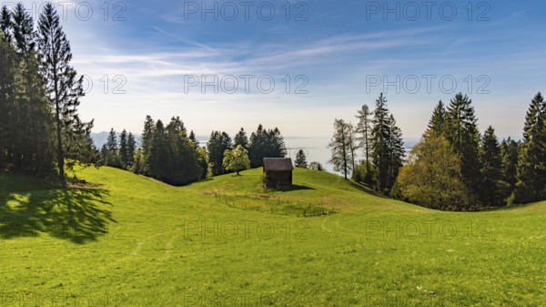 Wonderful hike to the viewpoint on the Pfänder on Lake Constance