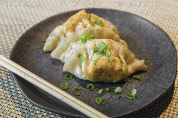 Beautiful gyoza or dumplings snack with soy sauce, selective focus, copy space