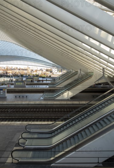 Liège, Liège-Guillemins railway station, design 2009 Santiago Calatrava, station concourse with escalator