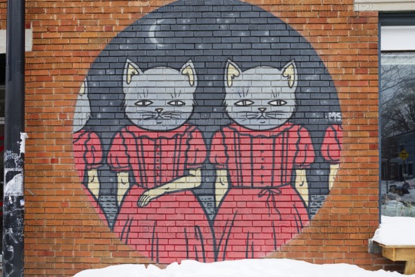 Colourful wall painting, Montreal, Quebec Province, Canada, North America