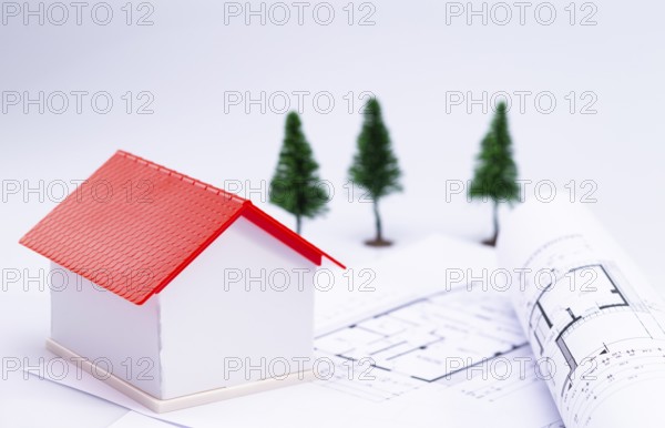 The photo shows a model house with architect's plans, in the background you can see some fir trees