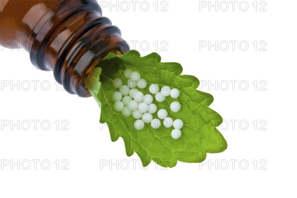 Homeopathy. Globules as an alternative medicine. Lying on a sheet, Homeopathy. Globules as alternative medicine. Lying on a leaf. Austria