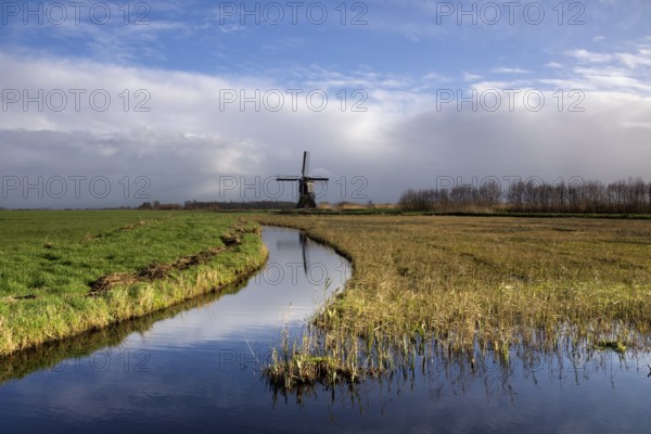Dutch polder landscape with a windmill in the region Alblasserwaard
