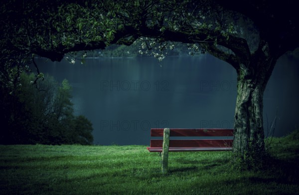 Red wooden bench in a blooming orchard with a beautiful view of the lake Walensee, in the Swiss Alps. Picture taken near the village Unterterzen, Switzerland, Europe