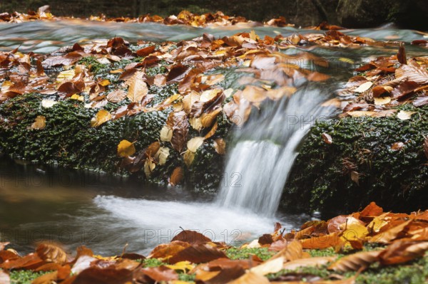 Autumn leaves in mountain stream - long exposure
