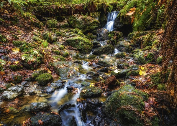 A Small Waterfall in the Mountains of California, Color Image
