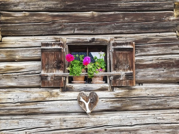 Old vintage wooden window with geranium flowers in the small alpine village Tauplitz, a famous tourist attraction, Styria region, Austria, Europe