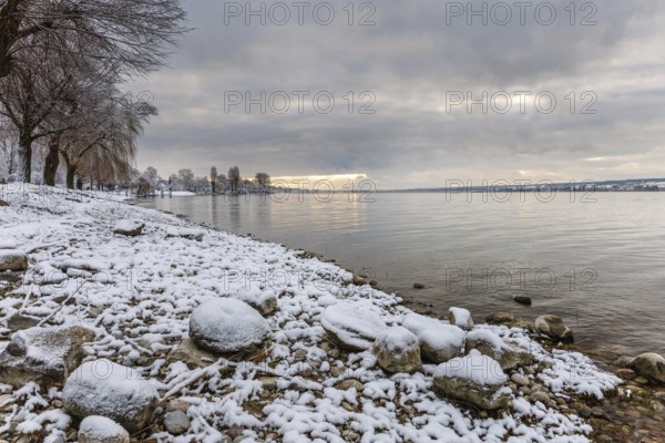 Snow-covered shore of a lake with stones and trees in the background. A peaceful winter landscape with a cloudy sky, Seegarten, Allensbach, Baden-Württemberg, Germany, Europe