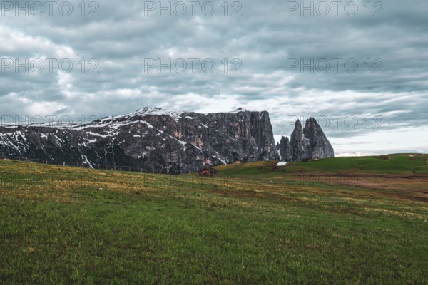 Panoramic view of Mount Sciliar on the Seiser Alm in the Dolomites in South Tyrol, Italy, Europe