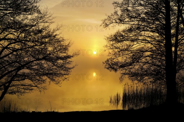 An idyllic, quiet scene at the lake at sunrise with trees in the foreground, Bornhortser See, 26125 Oldenburg-Germany