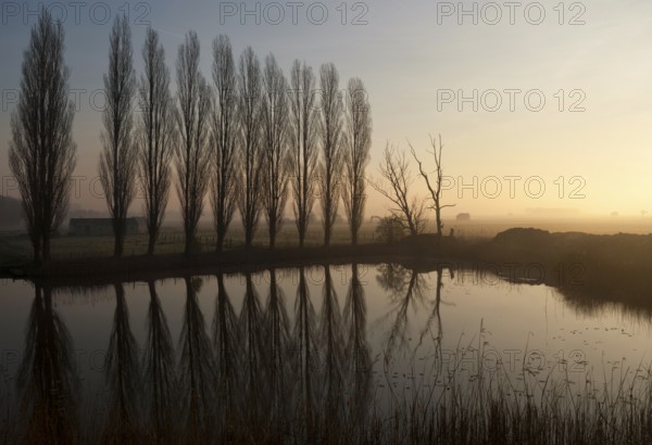 Row of trees near Uppel reflecting in a pond just before sunset