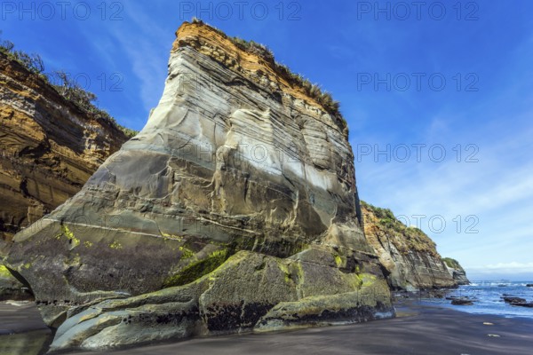 New Zealand, North Island. Powerful cliffs on the Pacific coast. The concept of active and phototourism, Oceania