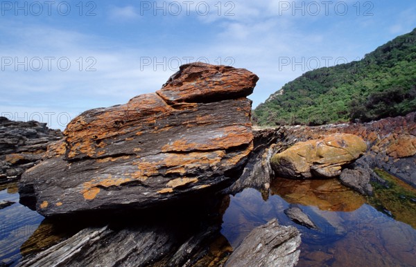 Rugged rocky coast, South Africa, Tsitsikamma National Park, Otter trail, Africa