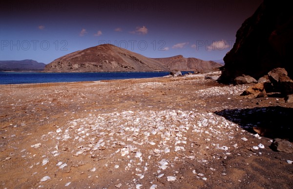 Le Goubet, Goubet Volcanoes, Djibouti, Djibouti, Africa, Afar Triangle, Gulf of Aden, Gulf of Tadjourah, Africa