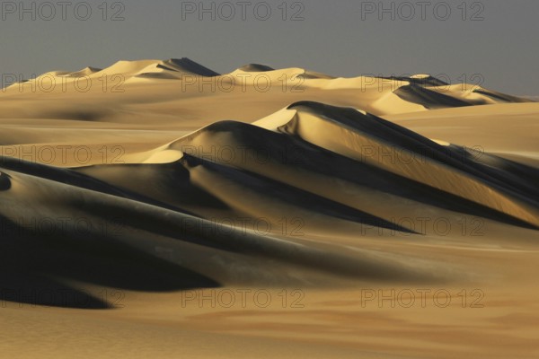Egypt, Great Sand Sea, Middle East, Africa