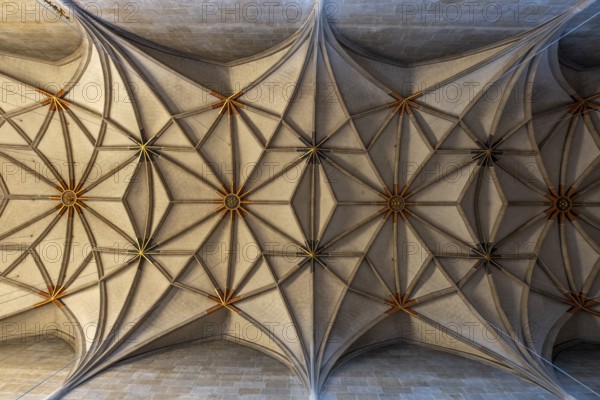 Ceiling vault of the Protestant collegiate church of St George, Tübingen, Baden-Württemberg, Germany, Europe