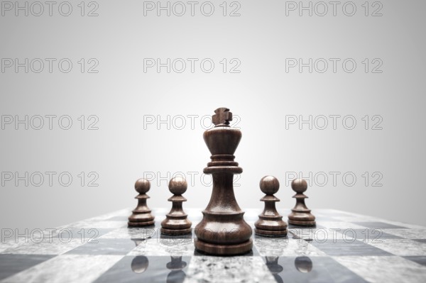 A group of 5 chess pieces under the leadership of the king