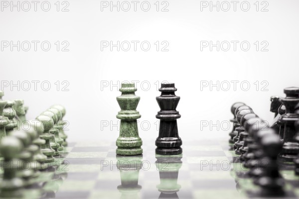 A composition of two kings between the rails of chess pieces