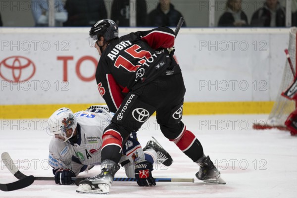 KA2, Cologne, North Rhine-Westphalia, Louis- Marc Aubry (Cologne Sharks, #15), PENNY DEL, Test match Cologne Sharks-Iserlohn Roosters on 13/09/2024 at KA2 in Cologne Germany .Photo