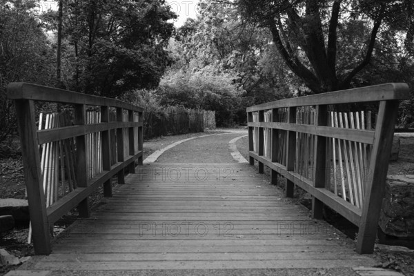 View over a pedestrian bridge in a municipal park, black and white, Cologne, North Rhine-Westphalia, Germany, Europe