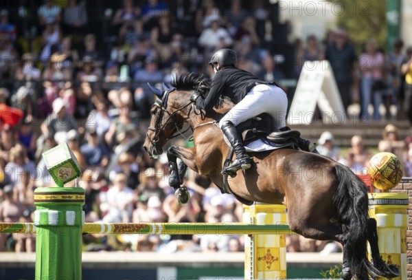 Daniel Coyle of Ireland and riding Legacy compete in the first round of the 1.60m CPKC International during the Spruce Meadows Masters, presented by Rolex, in Calgary, Alberta, Canada, North America