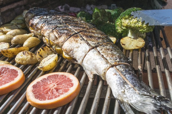 Roasting salmon fish on grill. Vegetables on grill in a garden