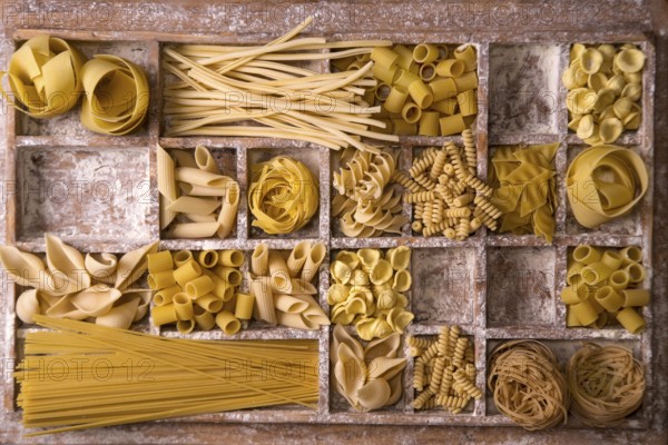 Presentation of varieties of Italian pasta made with white flour