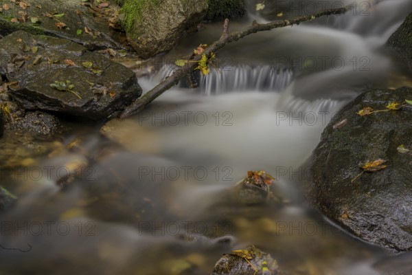 Gently flowing stream with stones and falling leaves in autumnal surroundings, Perlbachtal, Lower Bavaria