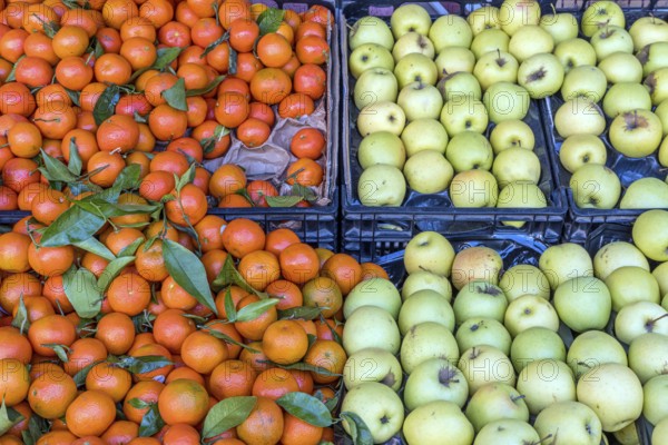 Green apples and mandarins for sale at a market