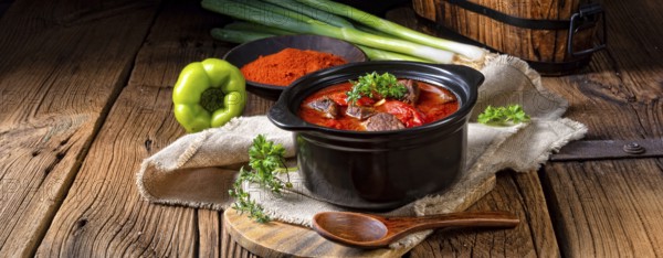 A real Hungarian goulash with beef and paprika