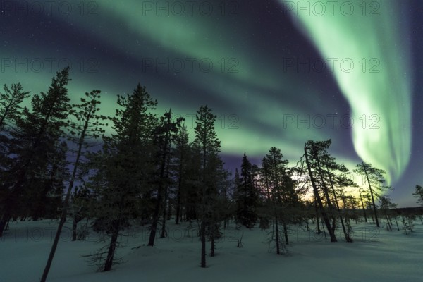 Northern Lights (Aurora borealis), Muddus National Park, Laponia World Heritage Site, Norrbotten, Lapland, Sweden, December 2016, Europe