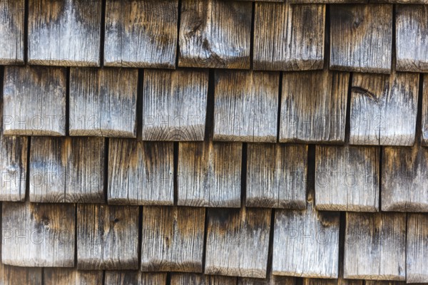 Old wooden planks surface background. shabby texture