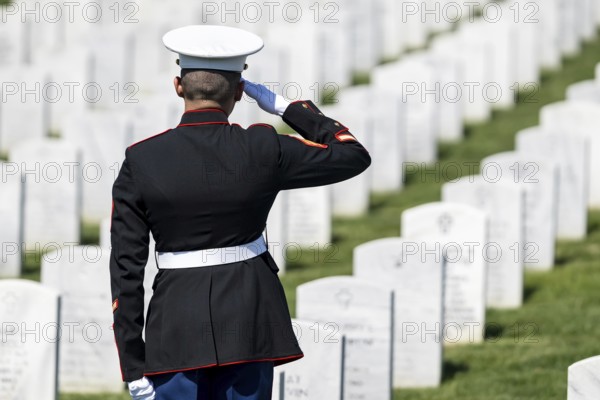 A poignant moment unfolds as a Marine plays taps, honoring a fallen veteran with a solemn salute, marking their internment at a national military cemetery