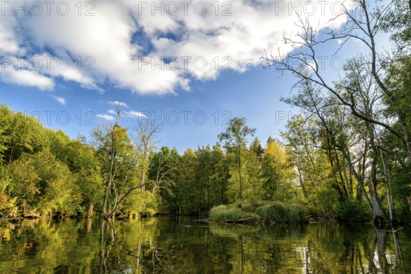 Krutynia River in Masuria in eastern Poland
