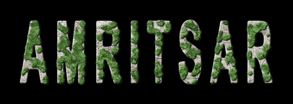 Amritsar Reforestation and Biophilia, Amritsar Green Typography