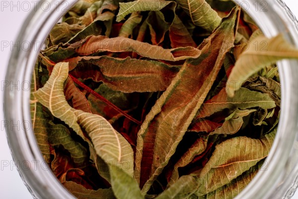 Dried leaves of Aloysia citrodora, lemon verbena