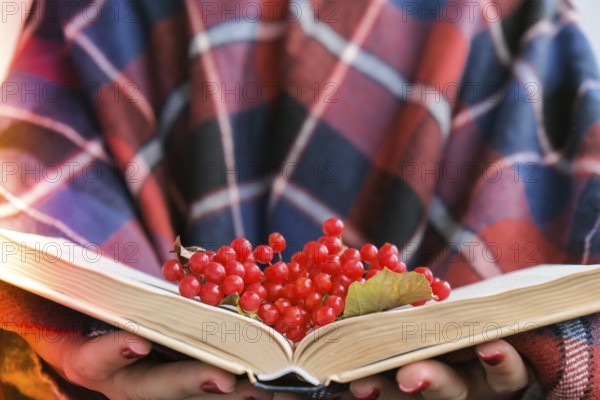 Stylish red female nails. Hands Holding Red Currants and reading book. Modern Beautiful manicure. Autumn winter nail design concept of beauty treatment. Gel nails. Skin care. Wellness. Trendy colors