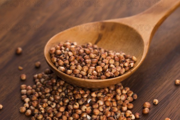 Sorghum, rice