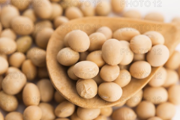Soybeans on wooden background