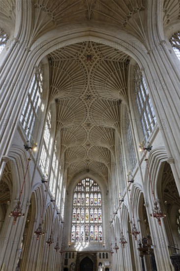 Interior view, ceiling, stained glass window, Bath Abbey, Bath, England, Great Britain