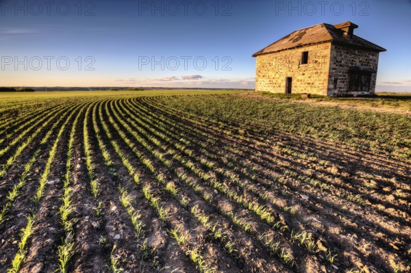 Sunset Light Saskatchewan Farm abandoned Stone House