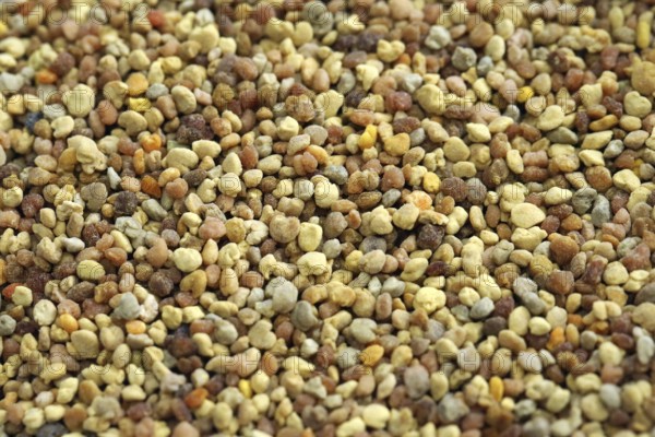 Flower pollen